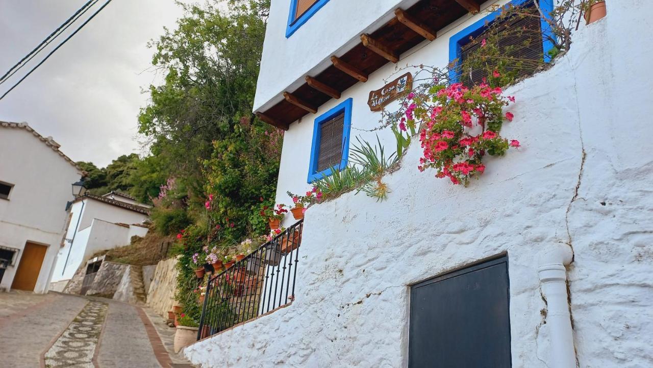 Casa El Olivo By Casaturistica Villa Benalauría Екстериор снимка