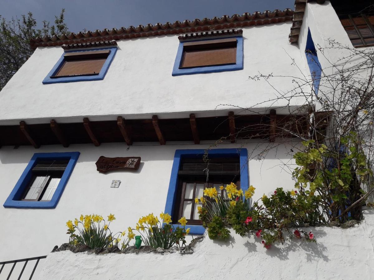 Casa El Olivo By Casaturistica Villa Benalauría Екстериор снимка