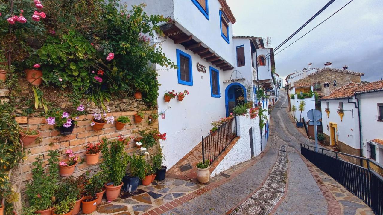 Casa El Olivo By Casaturistica Villa Benalauría Екстериор снимка